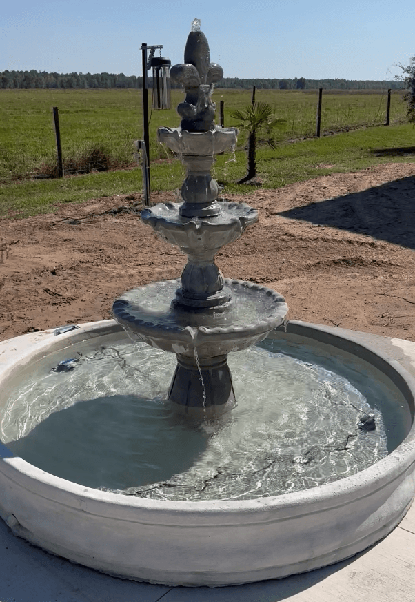 Paris fountain ( natural color )