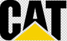 CAT Ransomware Recovery