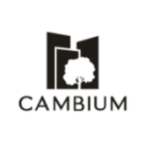 Cambium