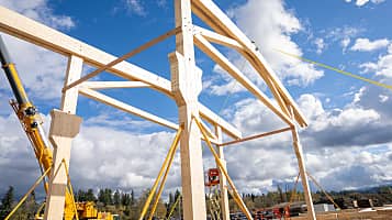 Sauter Timber Shop