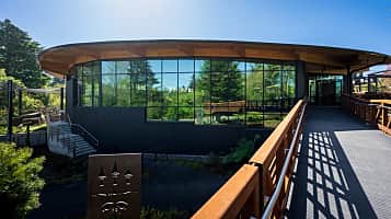 Forest Trailhead Exhibit