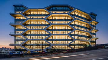 The Hive