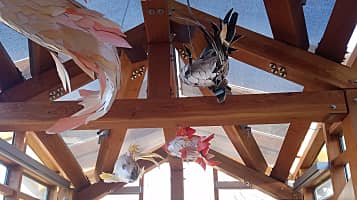 Gehry Private Residence