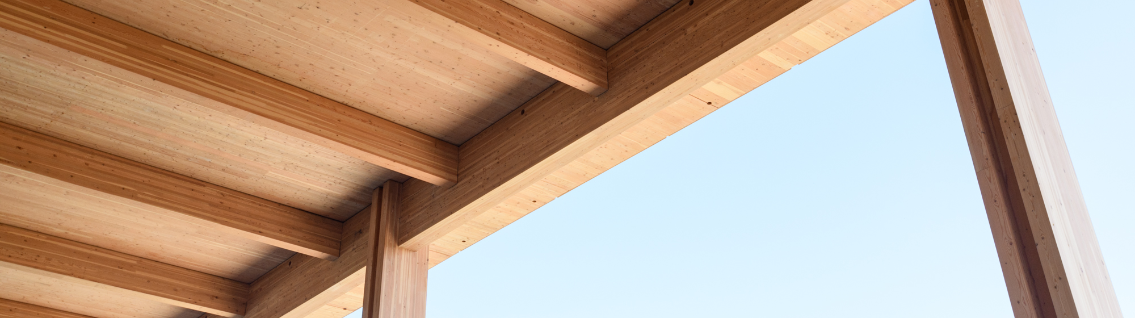 XL Construction Building