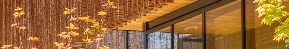 LEVER Architecture Building