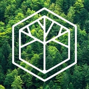 Element5 | HASSLACHER group Company Logo