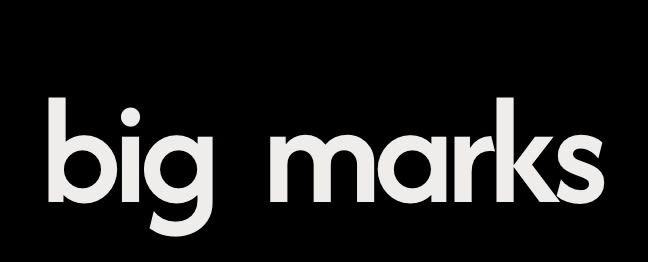 Big Marks Studio Company Logo