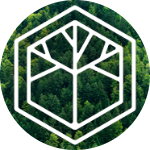 Element5 | HASSLACHER Group Company Logo