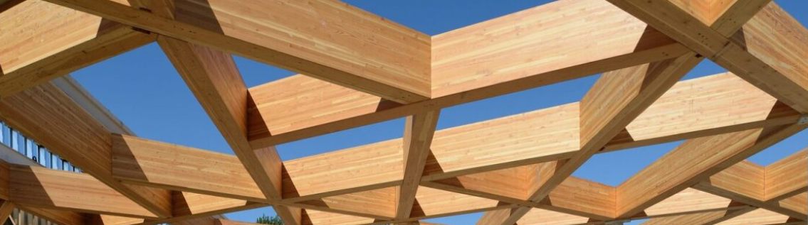 Seagate Mass Timber Inc Building