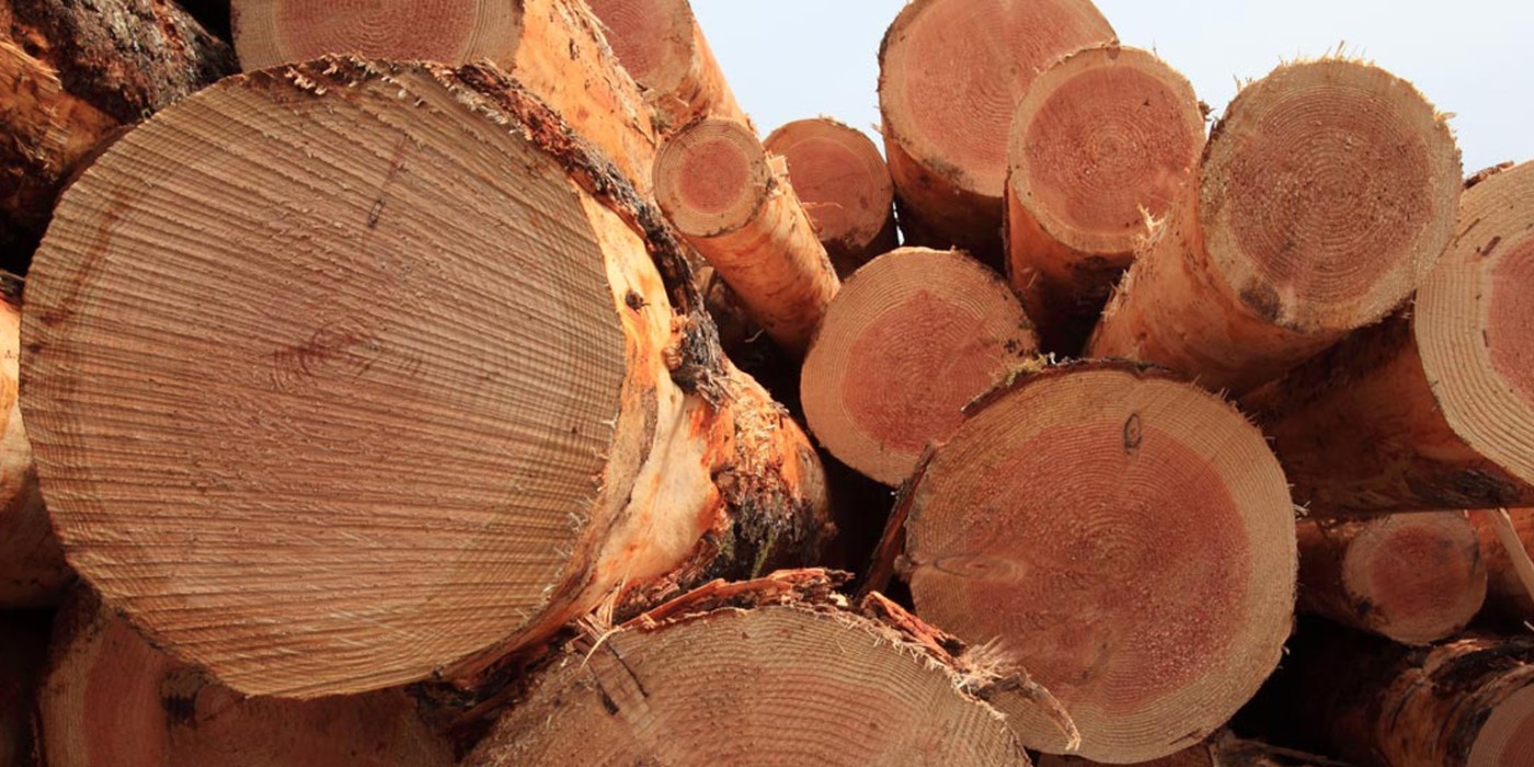 Weyerhaeuser Building