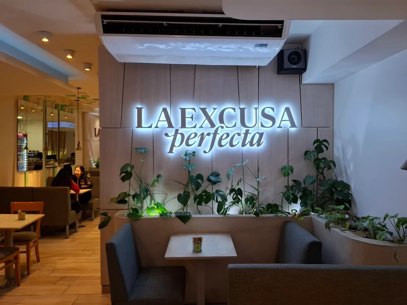 La excusa perfecta