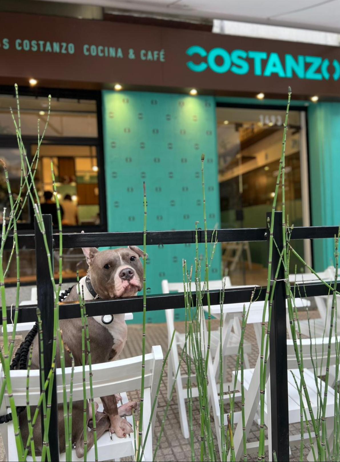 Costanzo Cafe Azcuénaga