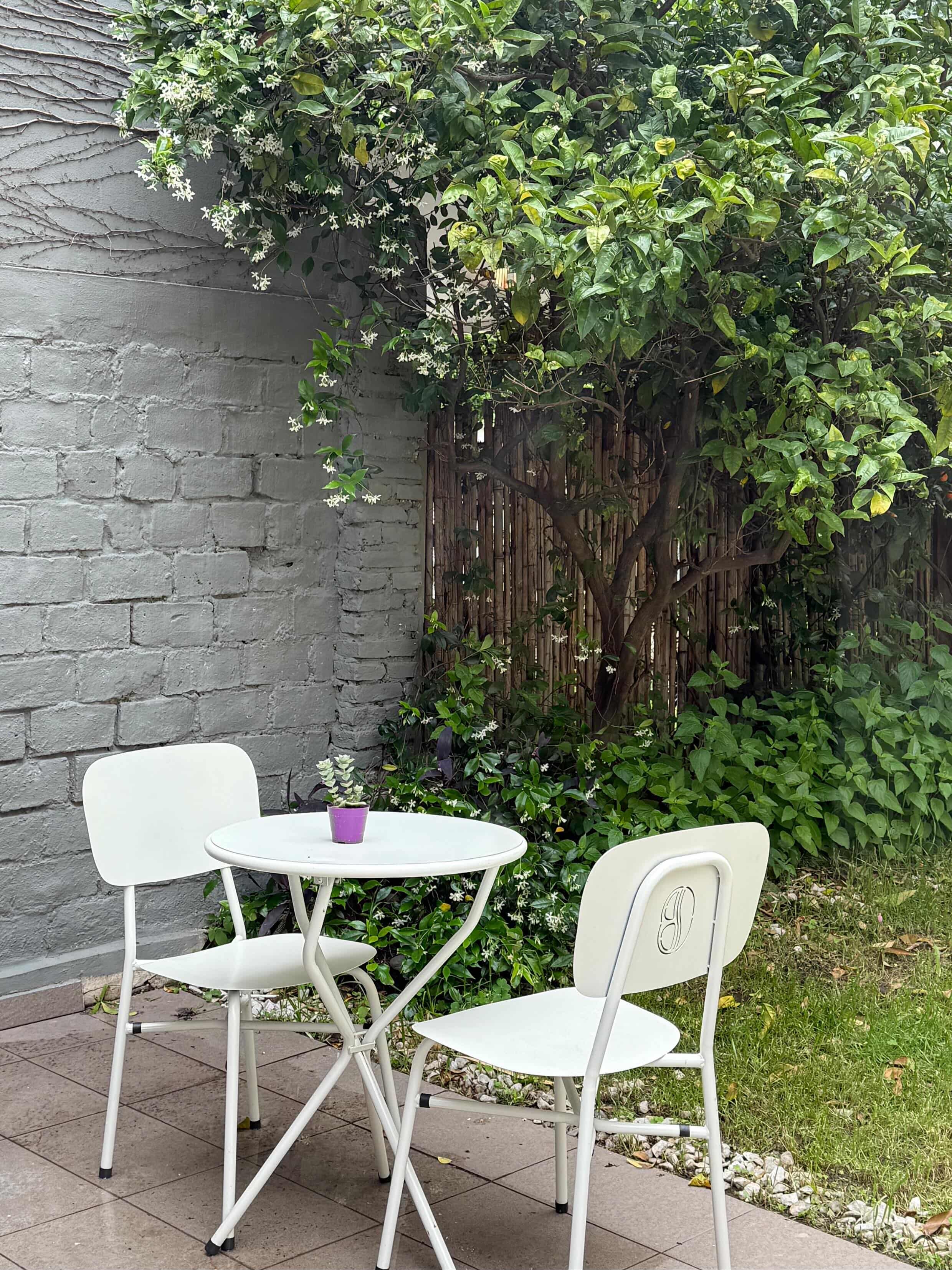 Buna Café de especialidad - Martinez