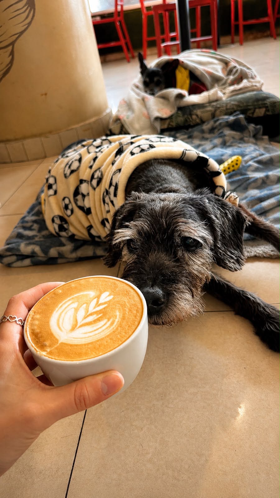 Coffee&Co