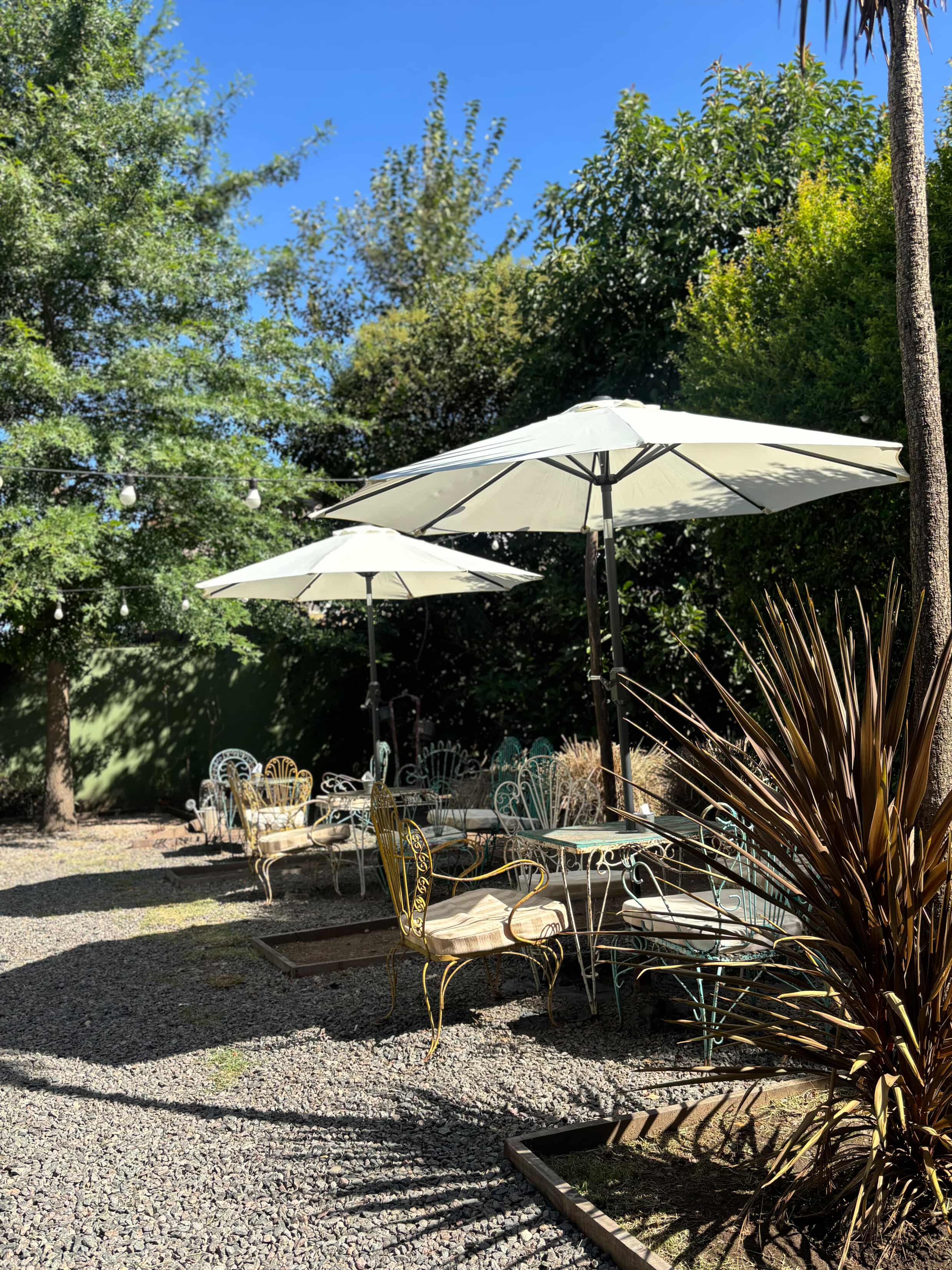 1873 café - Encuentro y resto