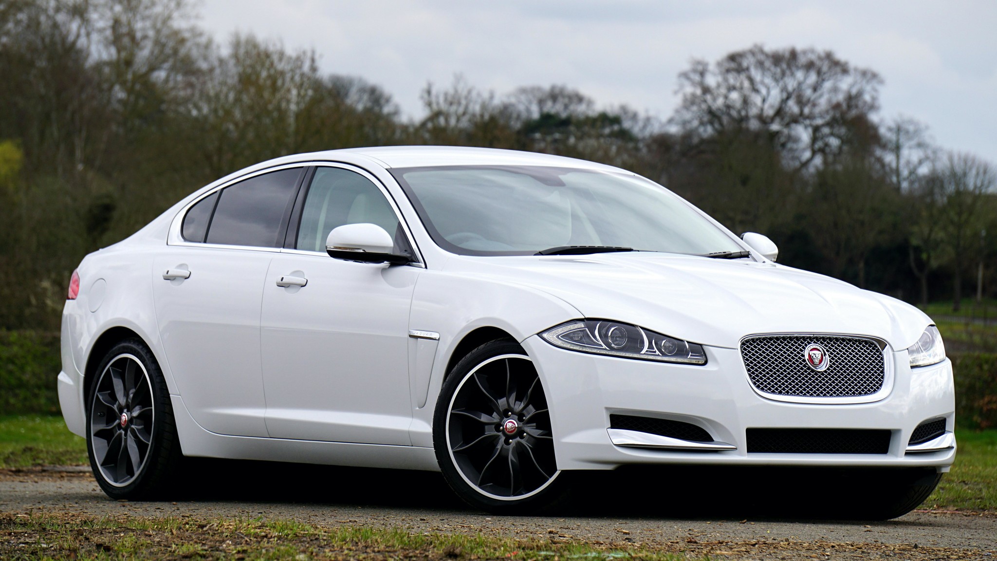 Jaguar DPF-pesu