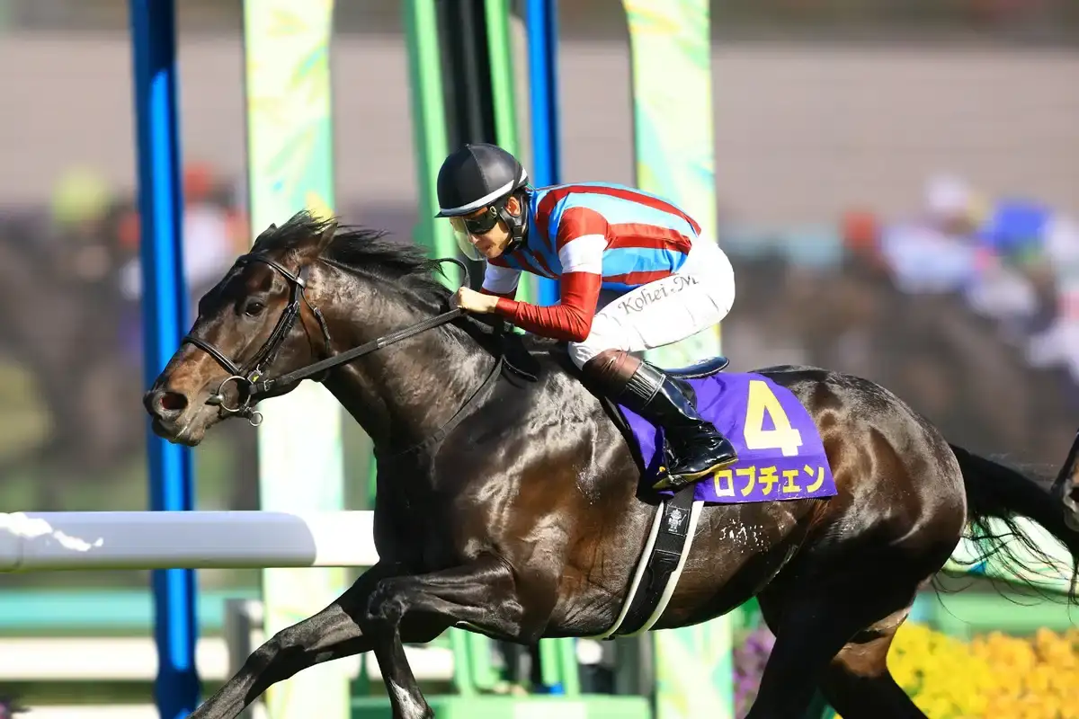 Lovcen gana el Satsuki Sho