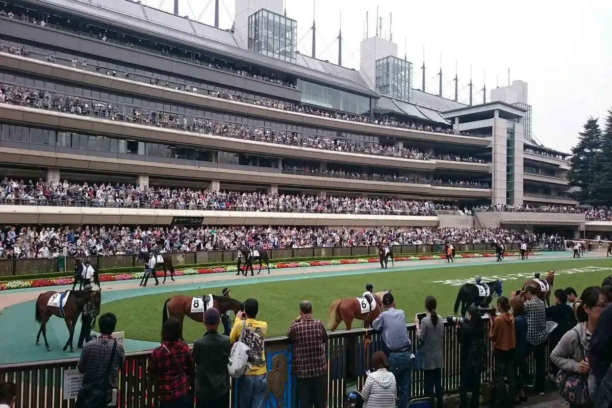 NHK Mile Cup 2026