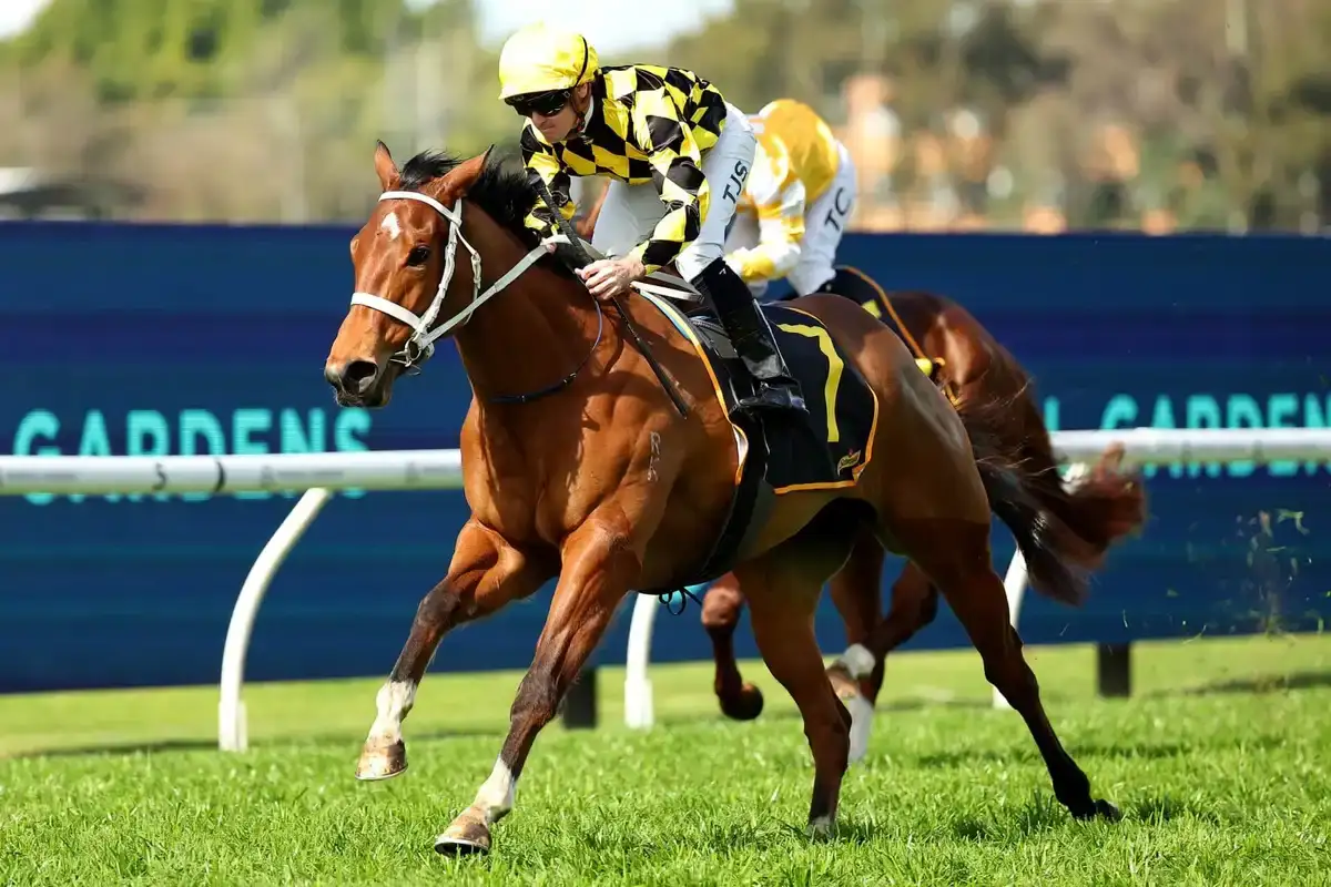 Autumn Glow: rival para The Everest frente a Ka Ying Rising