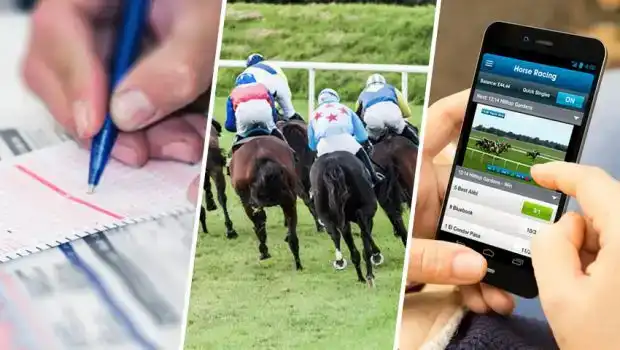 Indicadores hipismo: apuestas y premios suben en abril