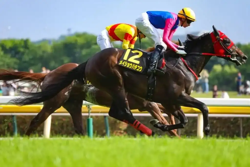 Michael Dee y Meisho Hachiko apuntan al Tokyo Yushun