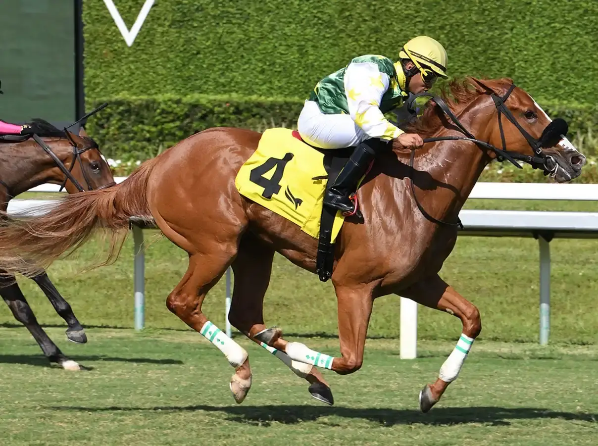 Liberty Rings da la sorpresa en el Royal Palm Juvenile Fillies