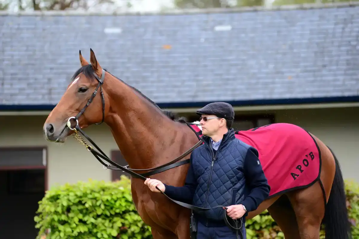 Ballydoyle busca el doblete en los Clásicos de Longchamp