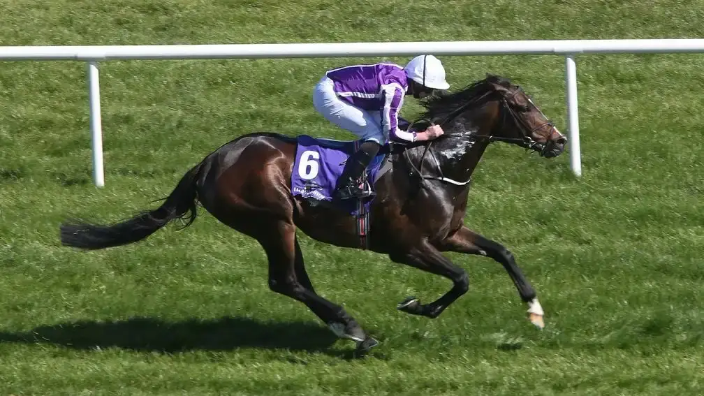Preakness: Taj Mahal
