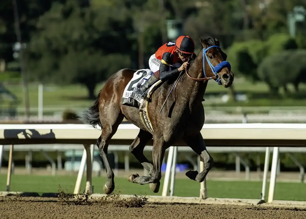 So Happy descarta el Preakness