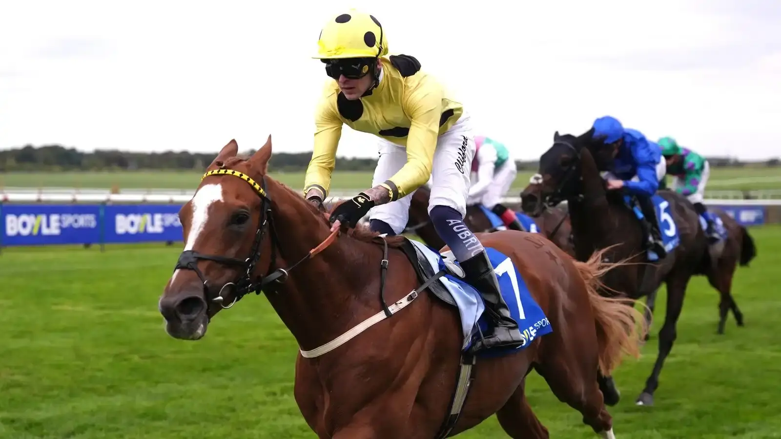 Lockinge Stakes: Zeus Olympios 