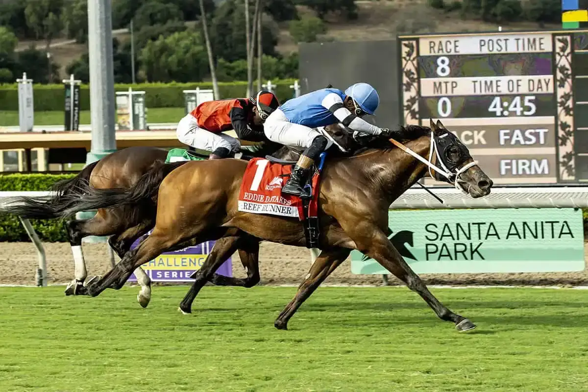 Reef Runner regresa a EE.UU. en el Jaipur Stakes de Saratoga