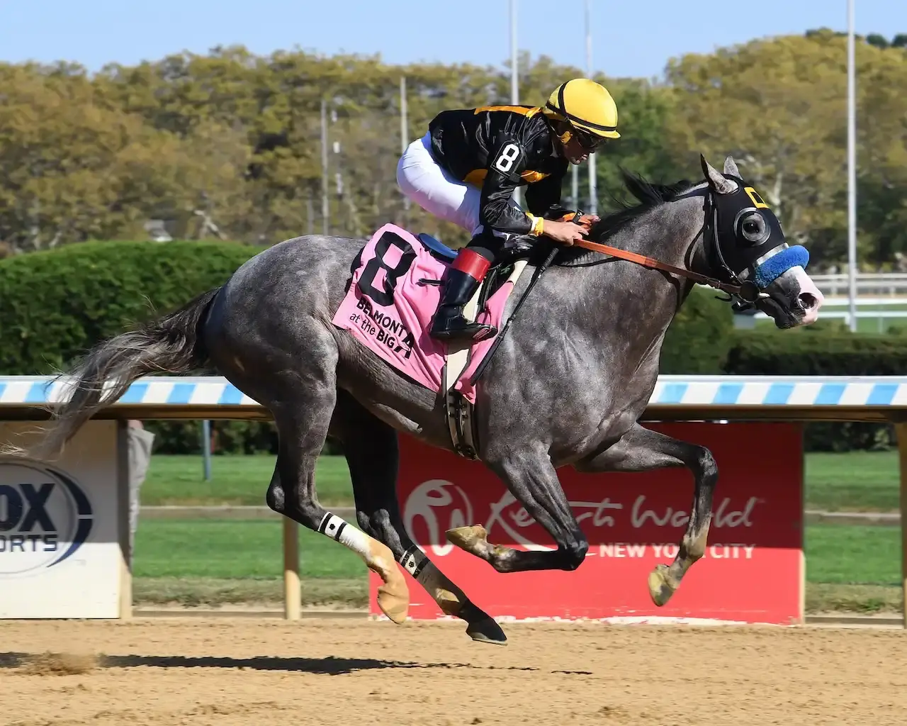 Napoleon Solo busca revancha en el Preakness Stakes 2026