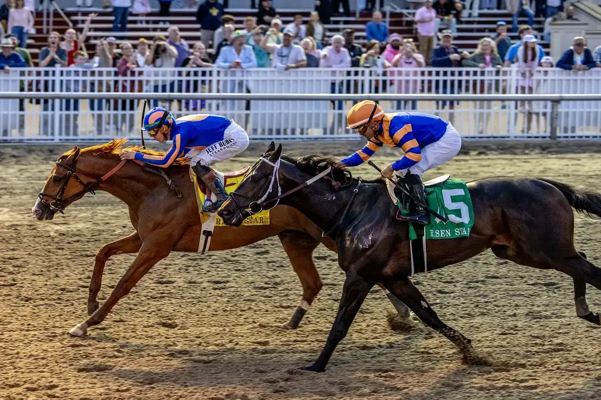 Chip Honcho completa su último trabajo para el Preakness Stakes