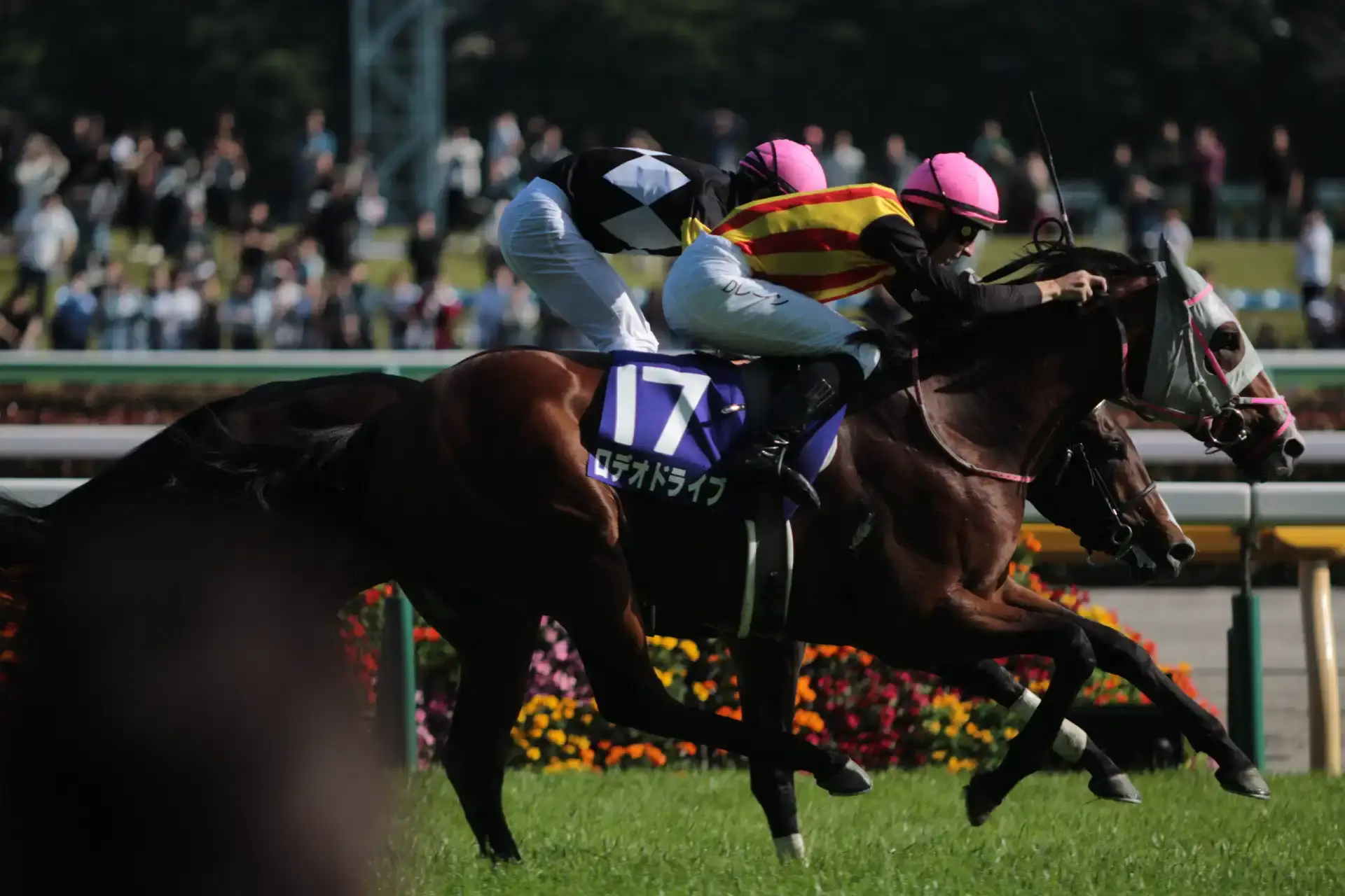 Rodeo Drive gana por nariz la NHK Mile Cup: primer G1 para Tetsuhide Tsuji