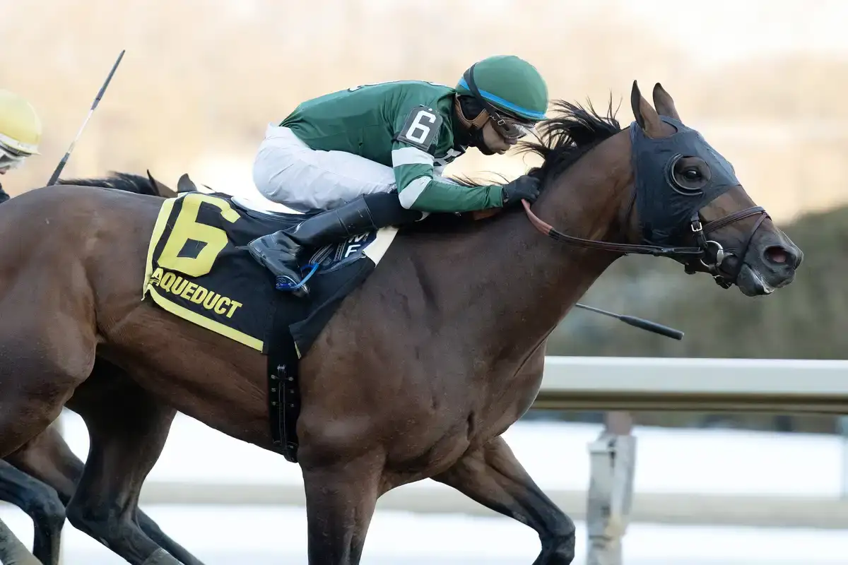 Iron Honor parte como favorito 9-2 en un Preakness Stakes atípico