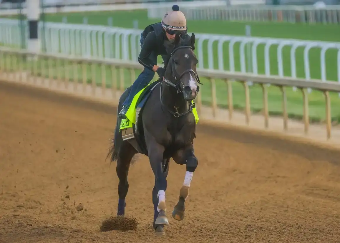 Ocelli, el maiden del Derby, busca la gloria en el Preakness