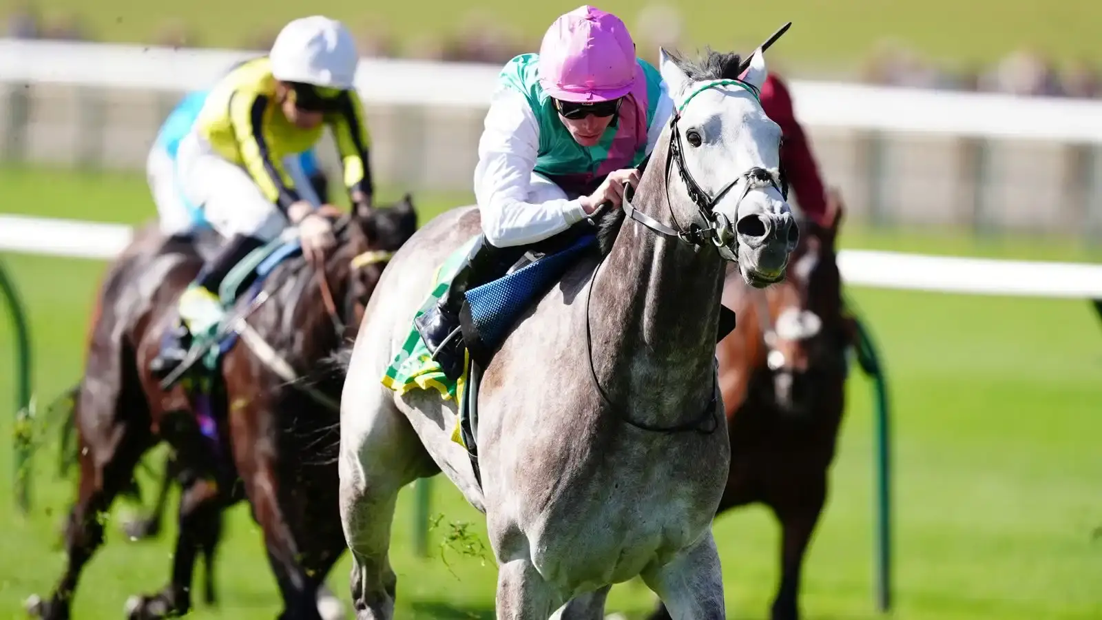 Field Of Gold en duda para Royal Ascot; Publish fuera de temporada