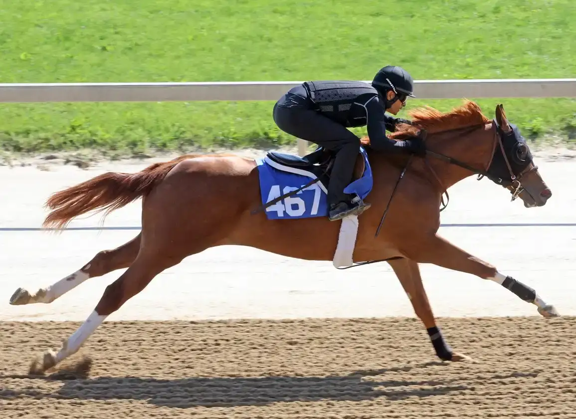 Fasig-Tipton Midlantic