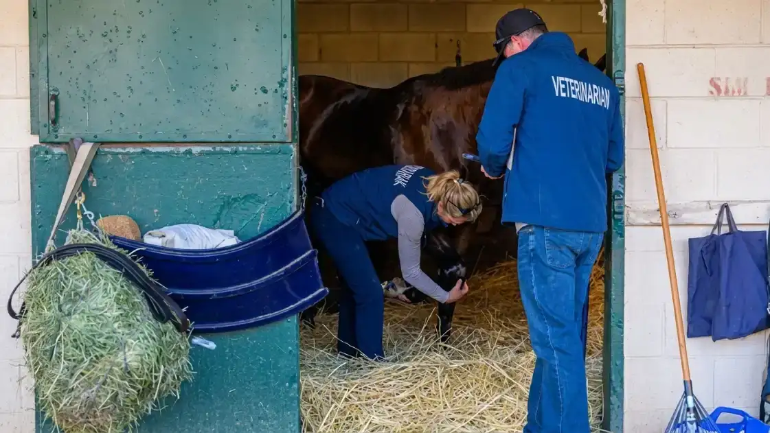Horseracing Integrity and Safety Authority 