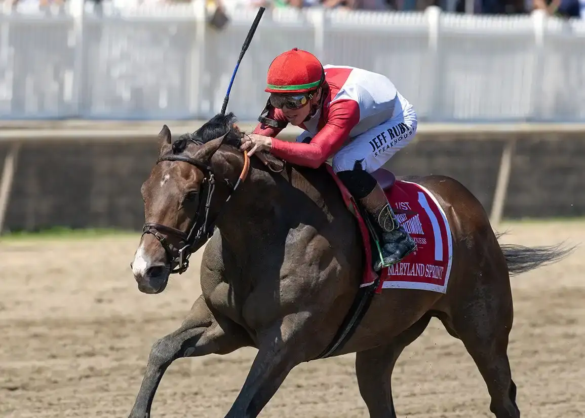 Haileysfirstnotion lidera el Maryland Sprint Stakes