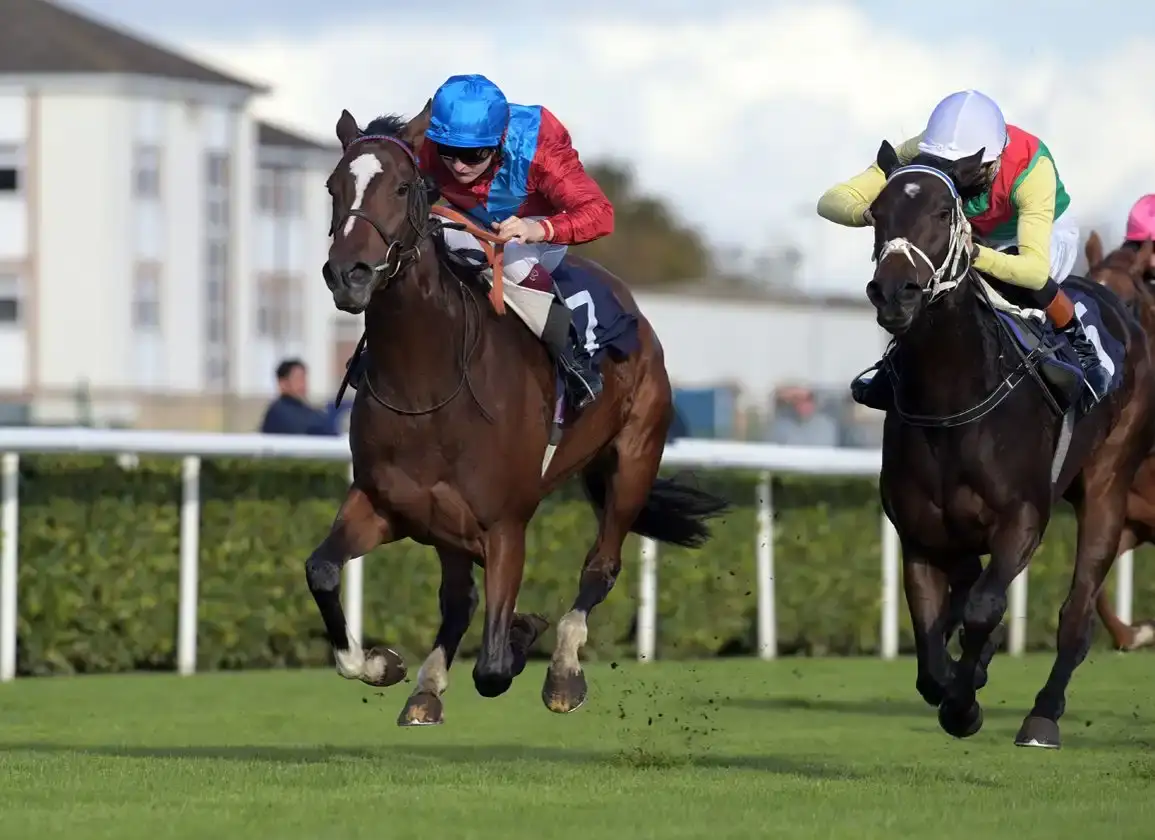 Lilt gana en York