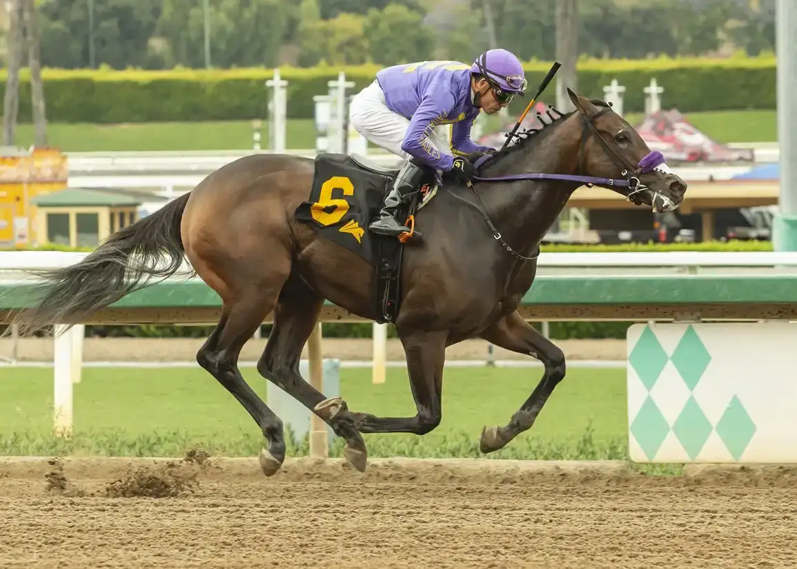 He Is No Lie debuta con victoria récord en Santa Anita