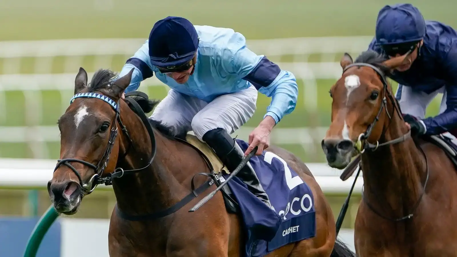 Cachet, ganadora del 1000 Guineas, muere a los siete años en Japón