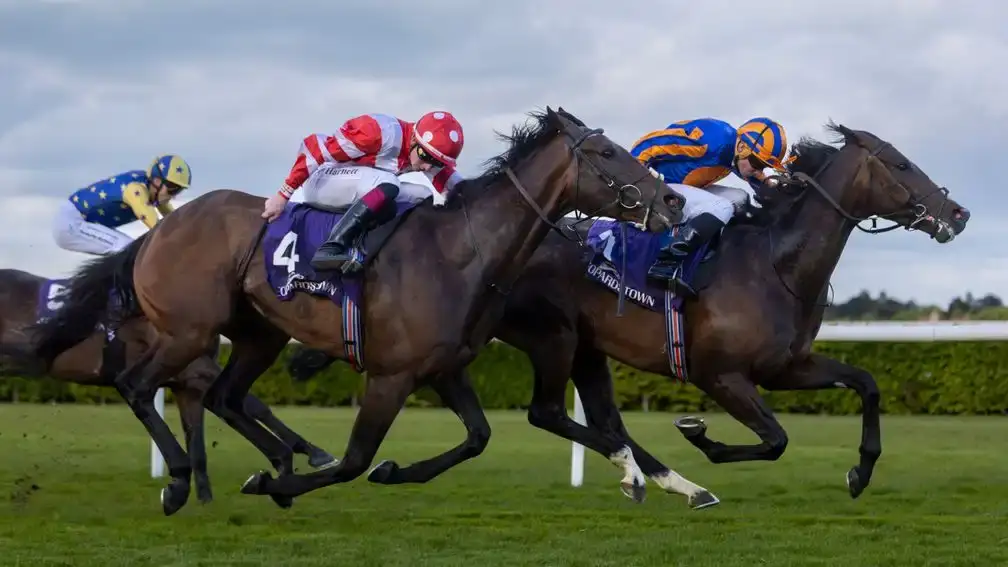 Scandinavia gana el Saval Beg Levmoss Stakes