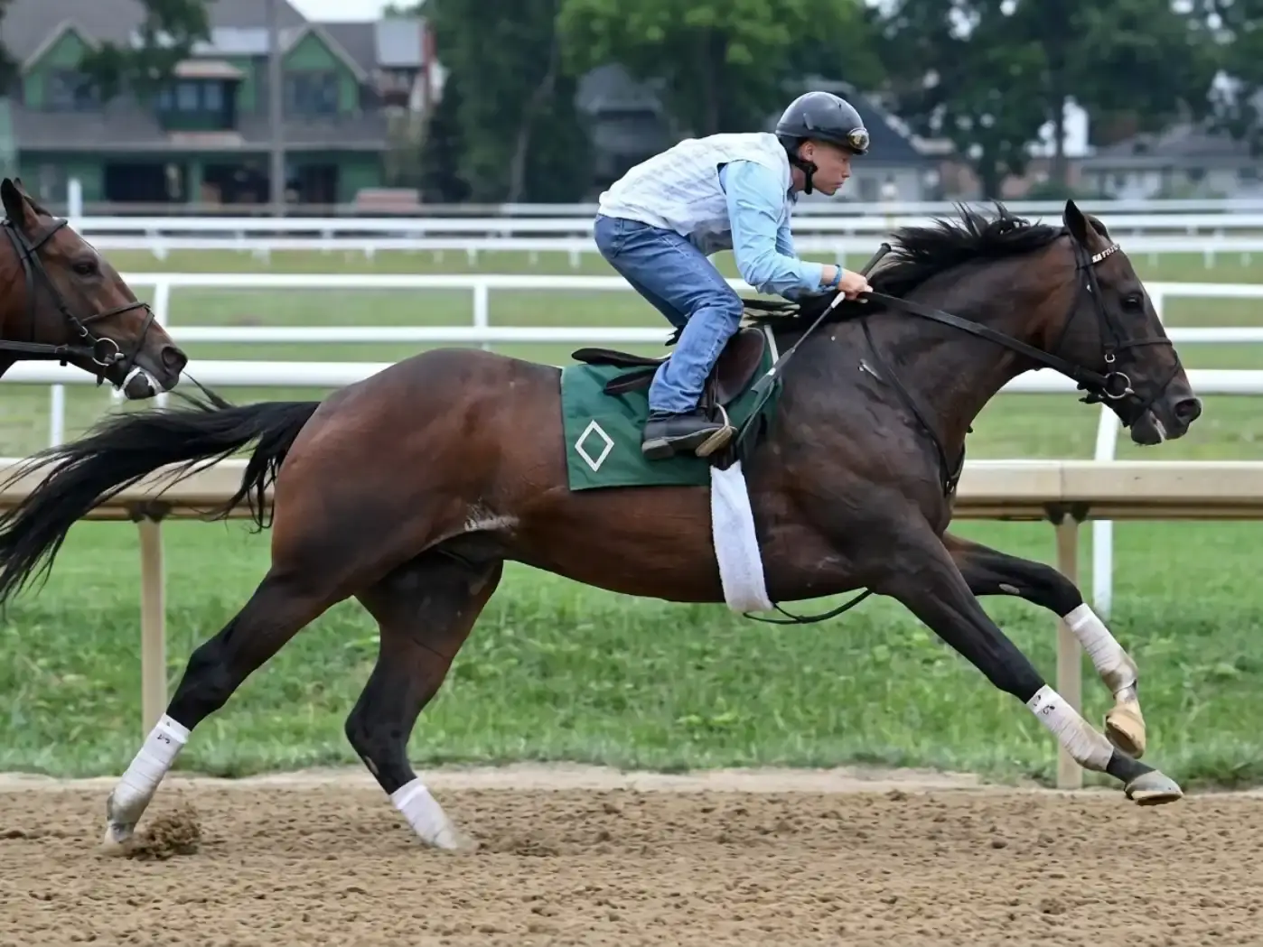Sovereignty y Always A Runner retoman trabajos en Saratoga