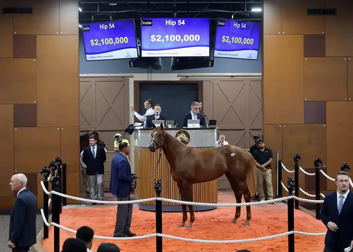 Potro de Flightline alcanza $2.1 millones en Fasig-Tipton Midlantic