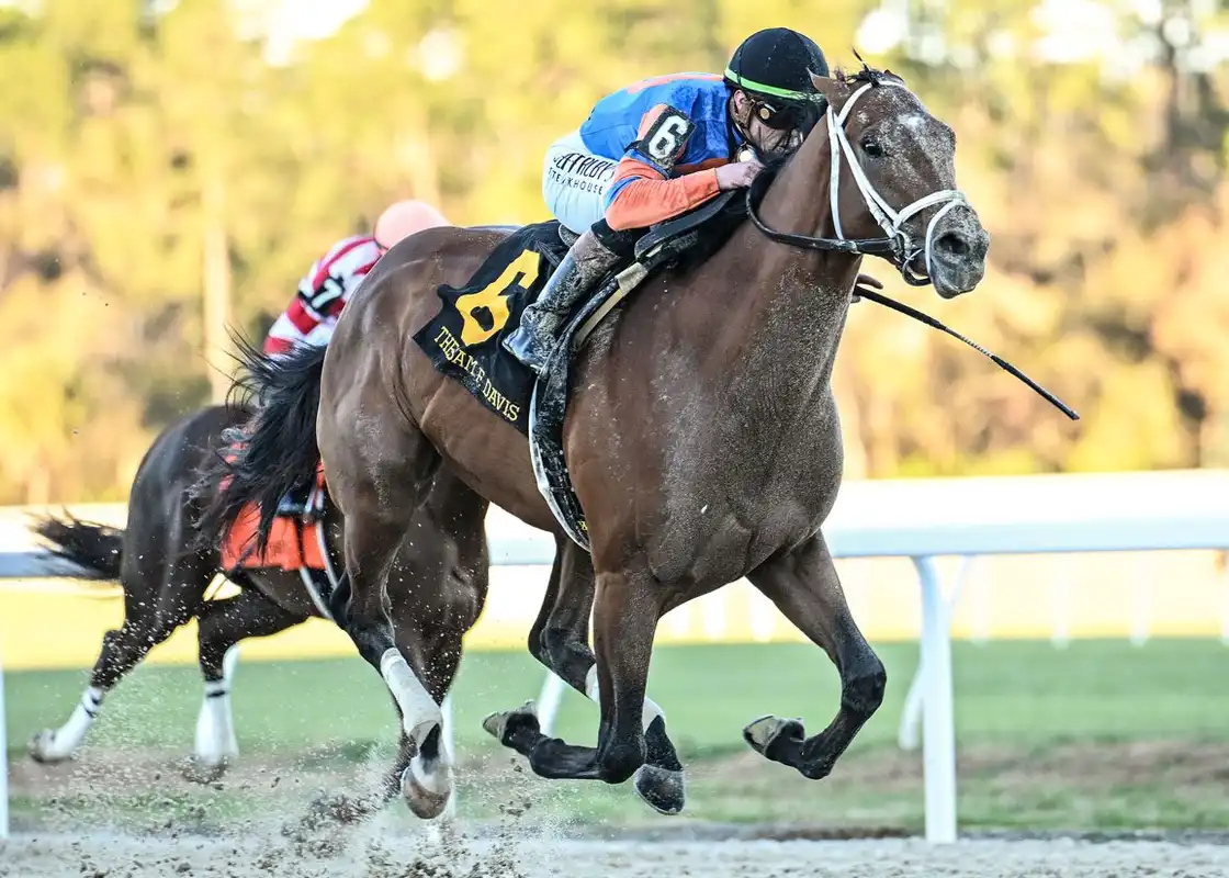 Renegade y Powershift podrían correr juntos en el Belmont Stakes
