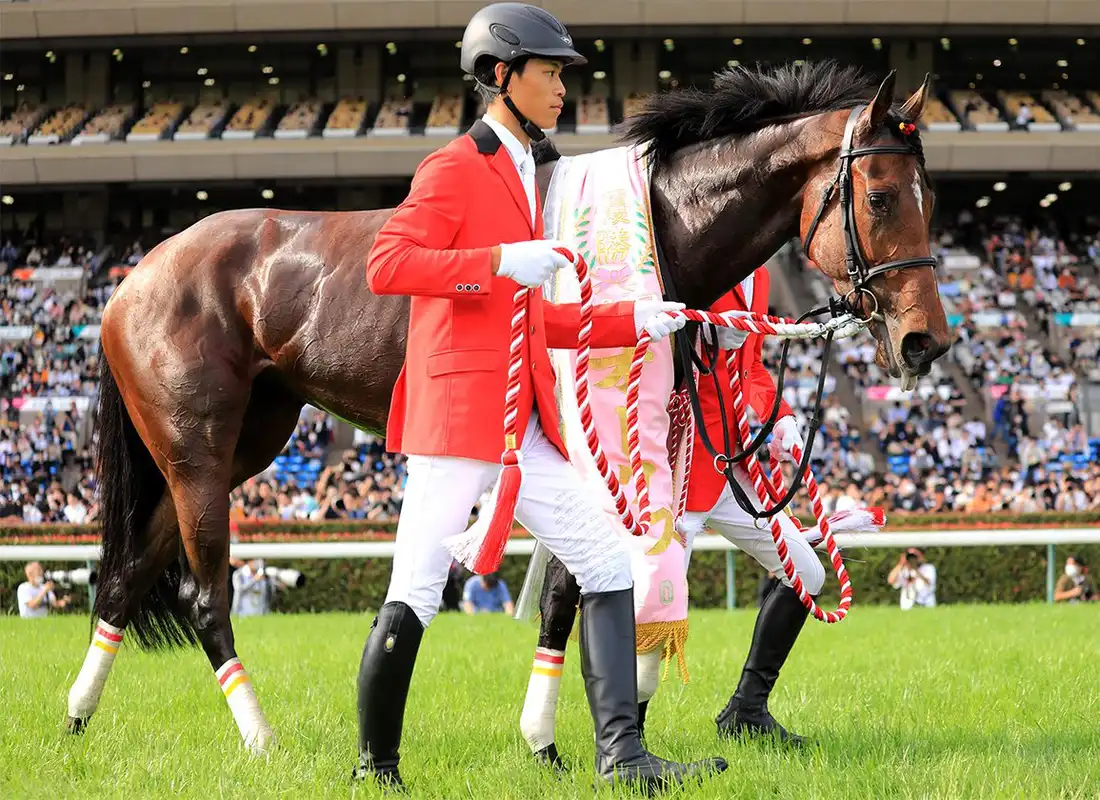 Yushun Himba 2026: Previa y análisis de la Japanese Oaks en Tokio