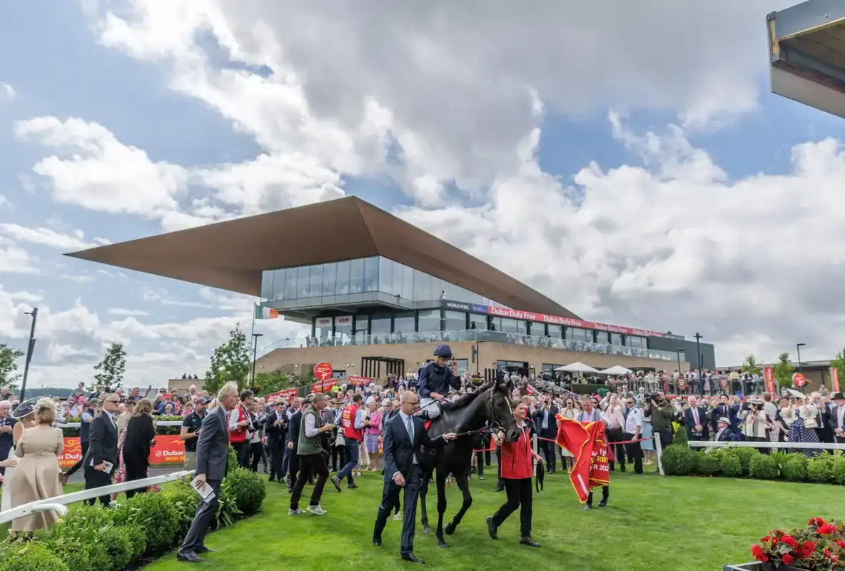 Snowing debuta en el Curragh: análisis de su pedigrí