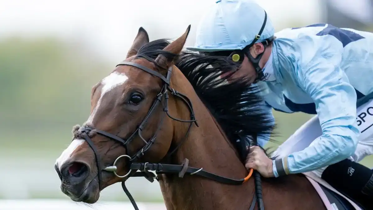 Wathnan Racing adquiere a The Prettiest Star